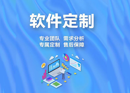 软件定制开发业务
